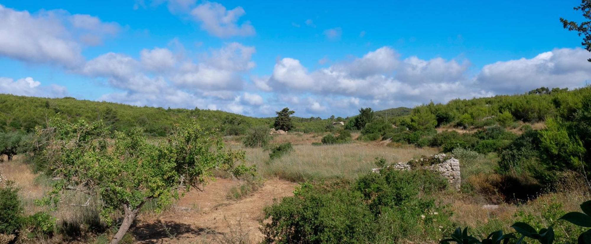 Fterini Apartments Sterna & Alletri Agios Leon Buitenkant foto
